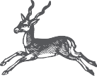 BLACKBUCK